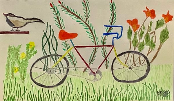 Belated Happy New Year